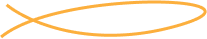 vector